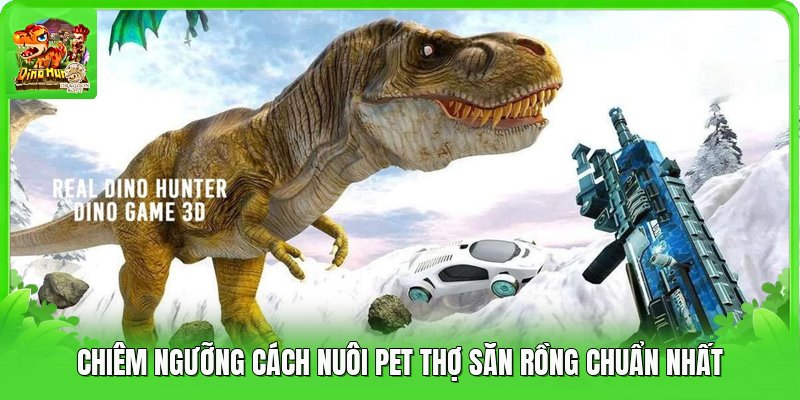 Chiêm ngưỡng cách nuôi pet thợ săn rồng chuẩn nhất