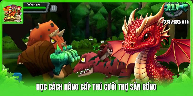 Học cách nâng cấp thú cưỡi thợ săn rồng Học cách nâng cấp thú cưỡi thợ săn rồng