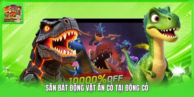 Săn bắt động vật ăn cỏ tại đồng cỏ Săn bắt động vật ăn cỏ tại đồng cỏ